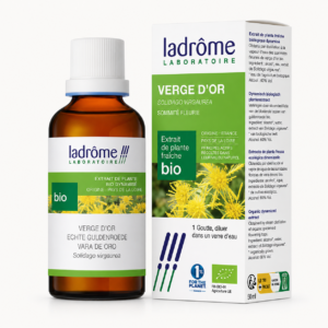 Suplemento de Vara-de-Ouro Extrato Bio Ladrôme 50ml sistema urinário Cinco Sentidos